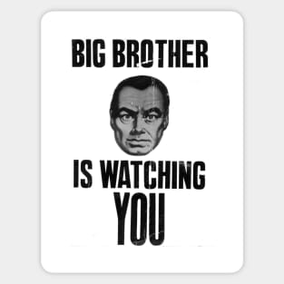 BIG BROTHER Sticker